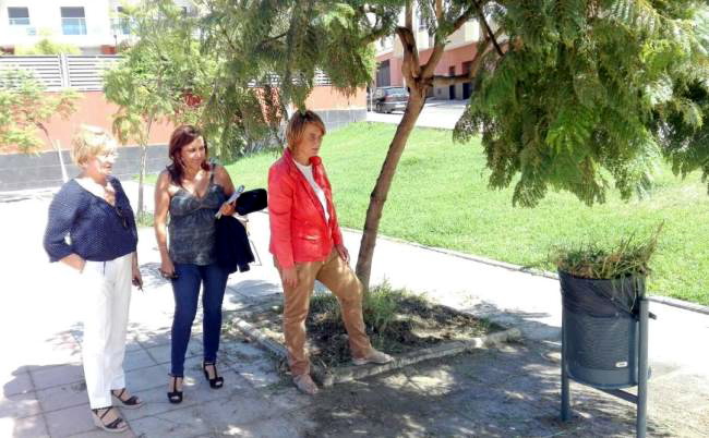 El Partido Popular pide un Plan Especial de Limpieza para Motril